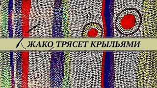 Попугай жако трясёт крыльями.  Что это значит?  Частые ошибки в организации клетки попугая.