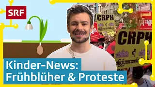 Gymi-Prüfung, Proteste in Burma & Frühblüher | Kinder-News | SRF Kids – Kindervideos