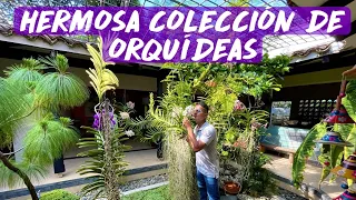 HERMOSA CASA CON COLECCIÓN DE ORQUÍDEAS