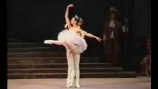 Diana Vishneva and Vladimir Malakhov Sleeping Beauty Ballet