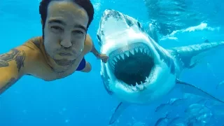 10 Most Dangerous Selfies Ever Taken