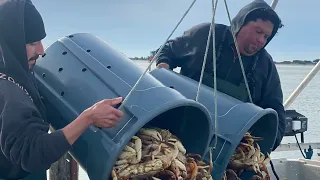 2024 Crab Opener