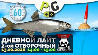 Русская Рыбалка 4 - Стрим Дневной лайт 2-ой отборочный. УКЛЕЙКА