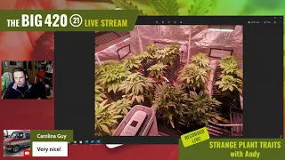 Strange plant traits with Andy Bill (From the 420 Live Stream)