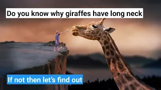 Do you know why giraffes have long neck, If not then let’s find out || Truth and Facts