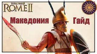 Как начинать кампанию за Македонию. Гайд | Total War: Rome 2 | Легенда