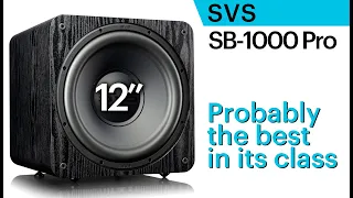 SVS SB-1000 Pro. Affordable 12" subwoofer. Probably the best in its class.