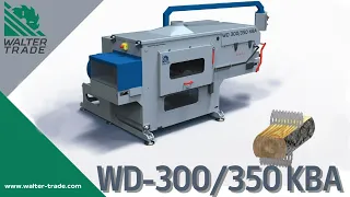 Double arbor circular multi rip saw WD-300/350 KBA Walter with centering transporter