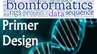 Bioinformatics lecture 16 primer design