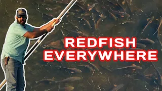Fishing REDFISH SCHOOLS in legendary Mosquito Lagoon (ft. Osprey CE Pro)