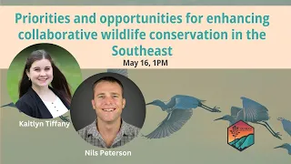 Priorities and Opportunities for Enhancing Collaborative Wildlife Conservation in the Southeast