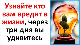 Узнайте кто вам вредит и желает зла в жизни, через три дня вы удивитесь результату