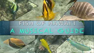 Fish of Hawaii: A Musical Guide
