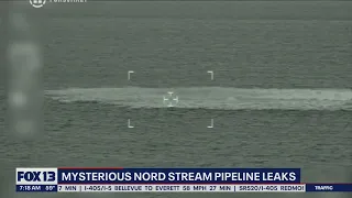 Mysterious Nord Stream pipeline leaks under the Baltic Sea | FOX 13 Seattle