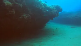 Freediving near Netanya, Israel