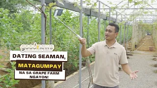 Dating seaman, matagumpay na sa grapes farm ngayon! | Good News