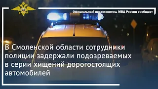 Ирина Волк: В Смоленской области полицейские задержали подозреваемых в серии хищений автомобилей