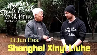 80 Yr Old Master Introduces Xinyi Liuhe Quan - Exploring Xingyi Quan ep11