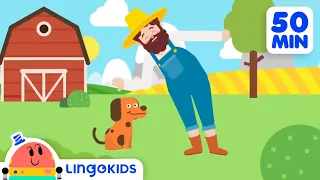 BINGO THE DOG 🐶 More Popular Songs for Kids | Lingokids