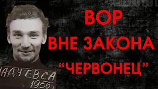 ВОР ВНЕ ЗАКОНА "ЧЕРВОНЕЦ" | Сергей Мадуев влюбил в себя прокурора Наталю Воронцову "Тюремный Романс"