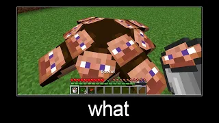 Minecraft wait what meme part 27