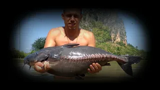 Fishing in Thailand @ Jurassic Mountain Resort and Fishing Park: Nathan lands a niger ripsaw catfish