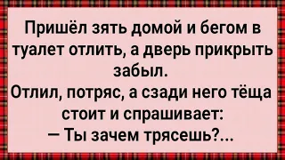 Как Зять Перед Тещей Хозяйством Тряс! Сборник Свежих Анекдотов! Юмор! Позитив!