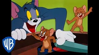 Tom y Jerry en Latino | Cómo festejar 🥳 | WB Kids