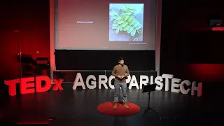 Biomimétisme façonner l'imaginaire rendre possible le souhaitable | Eliot Graeff | TEDxAgroParisTech