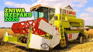 Żniwa Rzepaku 2020!🔥 Claas Dominator 88 Maxi & Same Iron 110✔