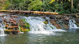 Waterfall Creek Fishing