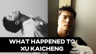 Xu Kaicheng Manages a Comeback After His Face was Swapped Out of a Drama Due to His Cheating Scandal