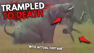 Top 3 TERRIFYING Elephant Attacks Ever RECORDED! (Caught On Camera)