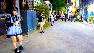 Akihabara in Tokyo 🐶🍻 Moe Moe Night ♪ 💖 4K ASMR non-stop 1 hour 01 minutes