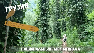 Грузия (7): Национальный парк Мтирала. Горы Аджарии. Однодневный маршрут | Капибары в бегах #41