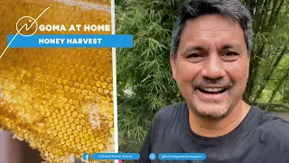 Goma At Home: Harvesting And Processing Fresh Honey At Home