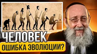 Человек ошибка эволюции? Рав Ашер Кушнир