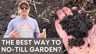 Is This the Best Version of No-Till Gardening?