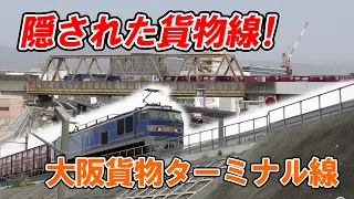 【JR貨物】壁に隠された貨物線！大阪貨物ターミナル線（大タ線）
