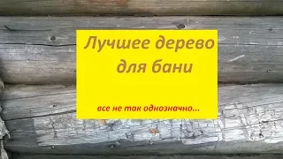 Какое дерево лучше для бани? Все не так однозначно