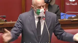 BASTA ANGLICISMI, IL GOVERNO ITALIANO PARLI ITALIANO - FABIO RAMPELLI (FDI)