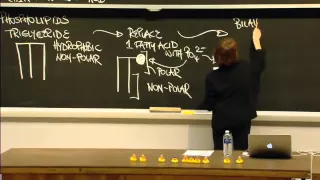 Macromolecules: Lipids, Carbohydrates, Nucleic Acid, Excerpt 1 | MIT 7.01SC Fundamentals of Biology