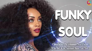 DISCO FUNKY SOUL - Chaka Khan, The Trammps, Sister Sledge, Chic, KC & the Sunshine Band And More