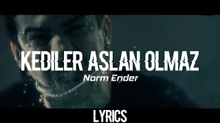 Norm Ender - Kediler aslan olmaz ( Lyrics / Sözleri )