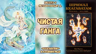 Чистая Ганга. Рагхава Пандит д. ШБ.5.17.1–3