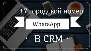 WhatsApp  на городской номер и в CRM
