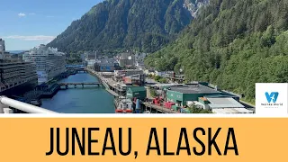 ALASKA Majestic Princess Cruise! An Awesome Shore Excursion in Juneau!  Day 5 #princesscruises