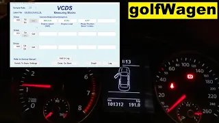 VCDS Timing Chain Stretch check VW/AUDI