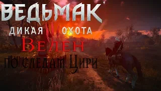 The Witcher 3 Wild Hunt : Велен, по следам Цири