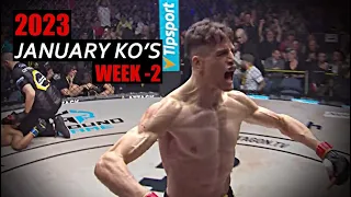 MMA & Boxing Knockouts I January 2023 Week 2